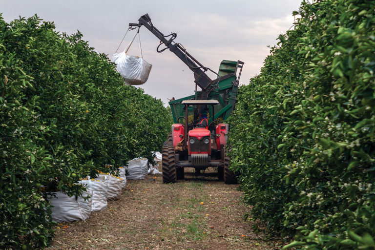 Negócios agrícolas feitos para durar