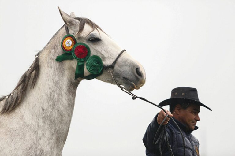 Por dentro da Cidade Expointer