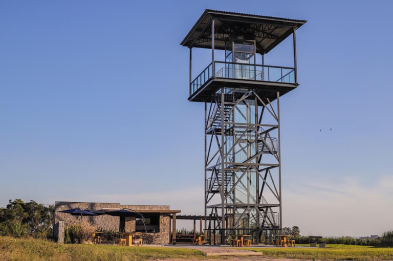 Caminhos do Alfredo: Nova rota enoturística do Sul
