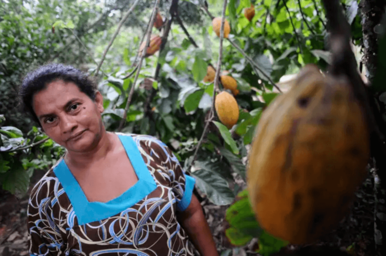 O valor sagrado do cacau