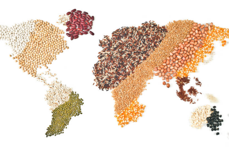 O novo mapa agrícola