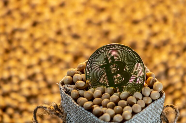 A porteira do criptoagro