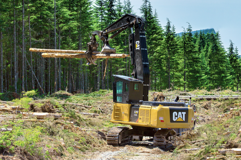 Novas máquinas na floresta