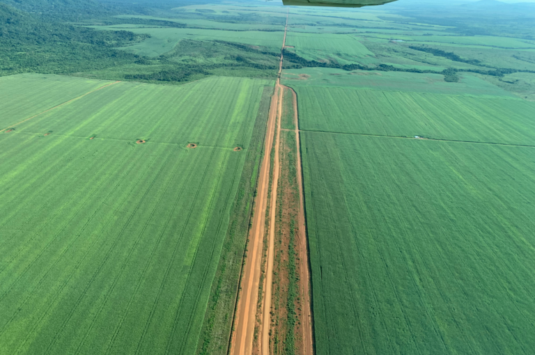 Uma gigante no mercado