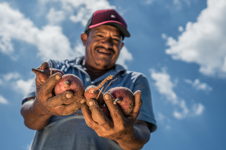 Menos intermediários, mais lucros
