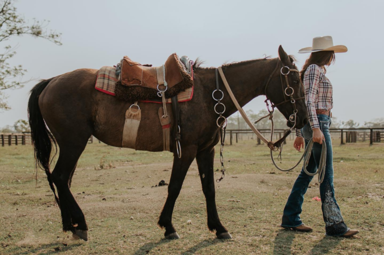 A música em defesa do Agro