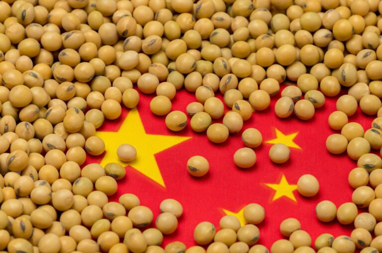 A China entra em campo