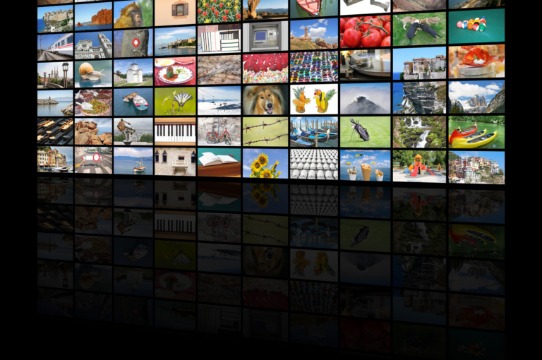 A inovação nos destaques do maior festival de criatividade do agro brasileiro