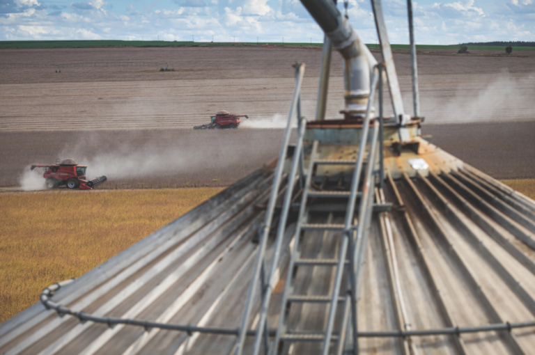 As dores da supersafra