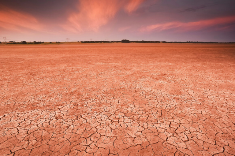 O tango da safra argentina