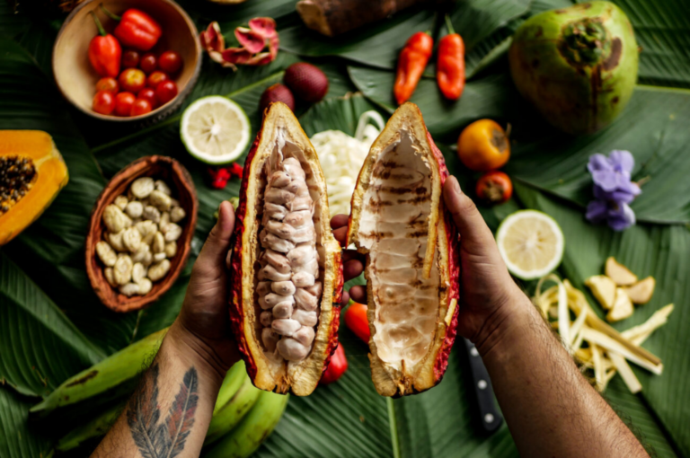 A sabedoria dos primeiros agricultores