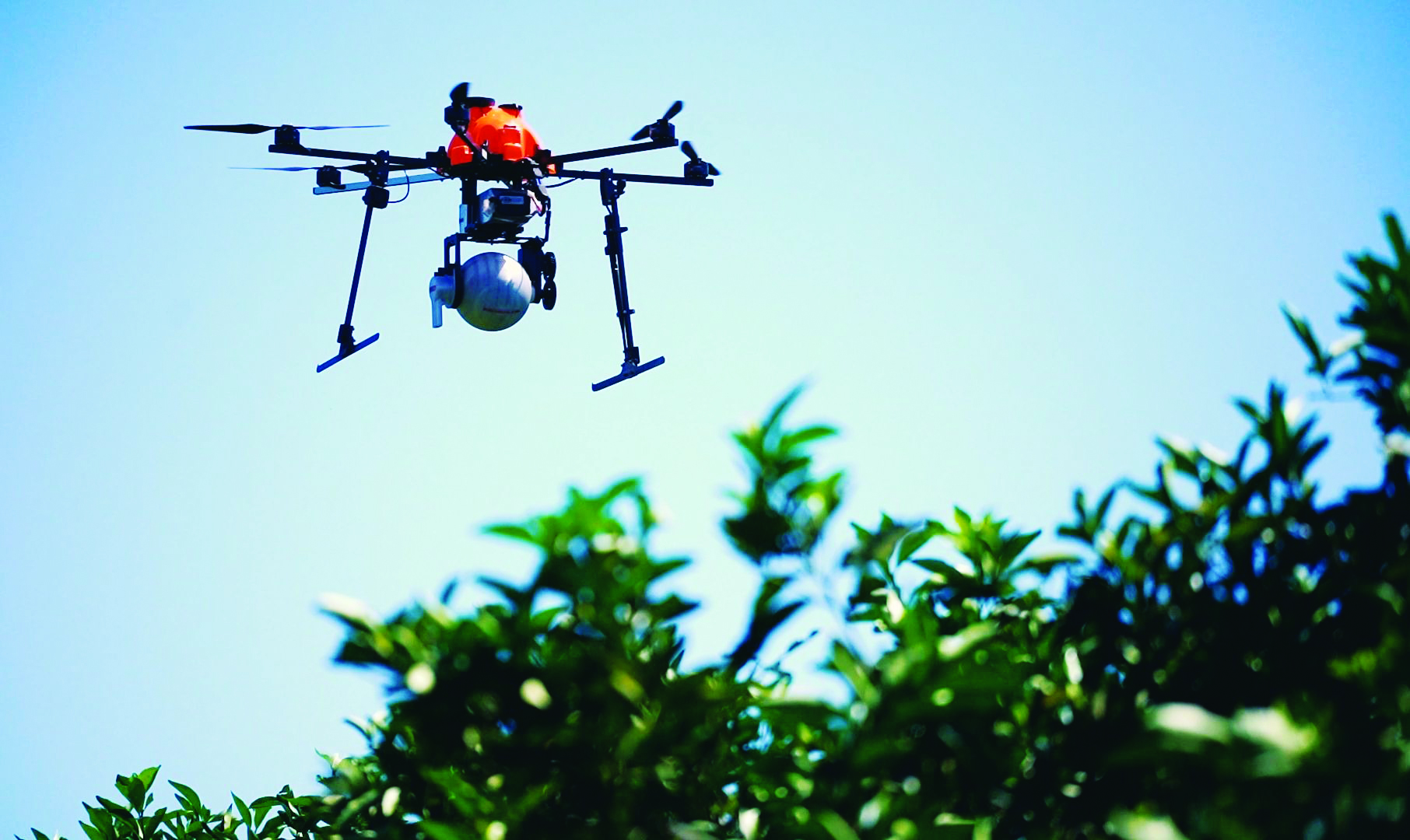 A HORA E A VEZ DOS BIOLÓGICOS