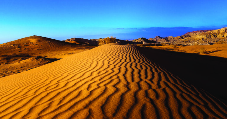 Semeadura no deserto