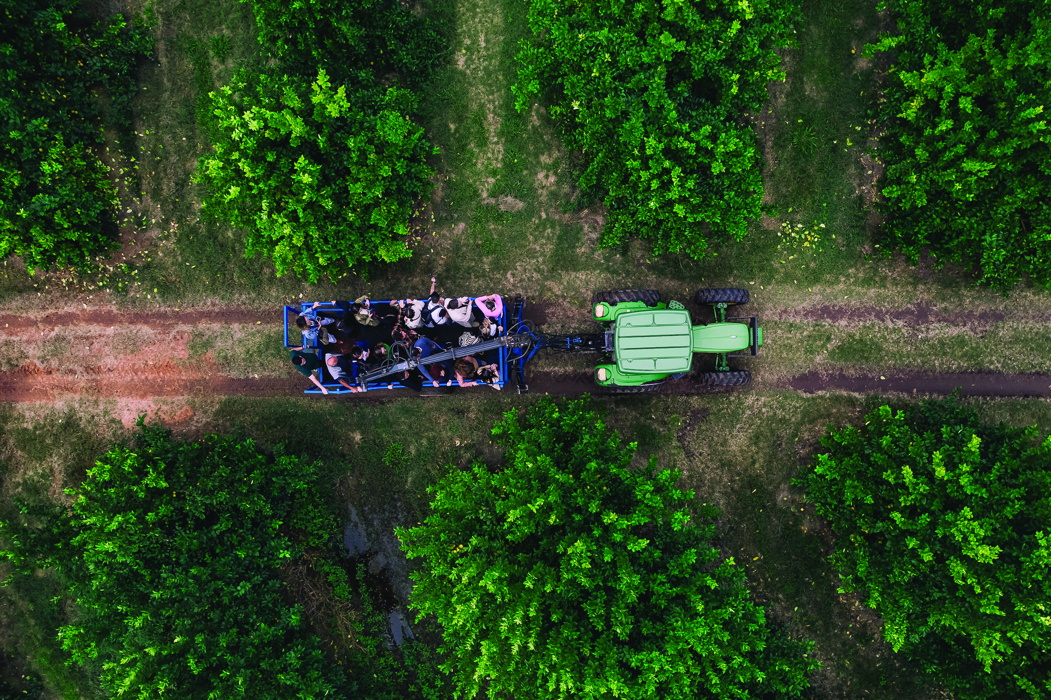 INSPIRAÇÃO BRASILEIRA