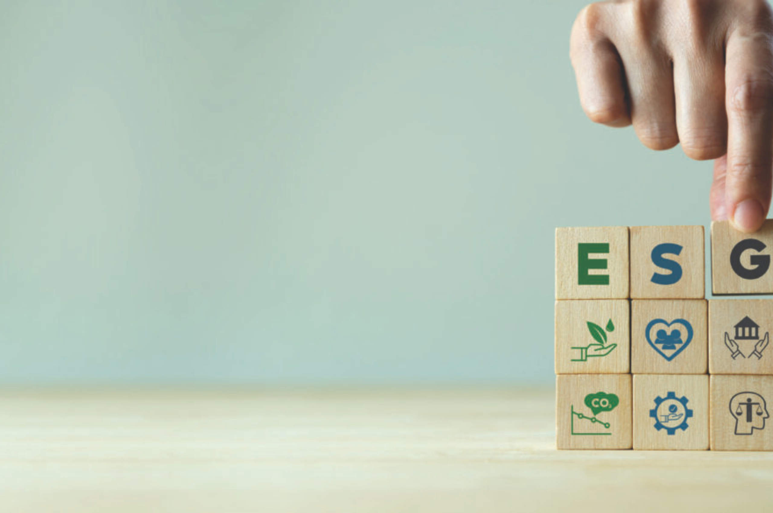 OS DESAFIOS DA MECANIZAÇÃO E SUSTENTABILIDADE