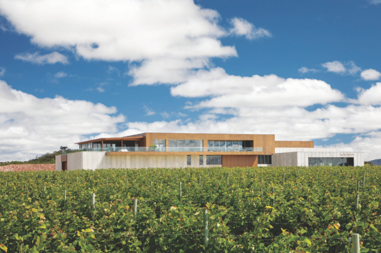 A arquiteta do vinho brasileiro