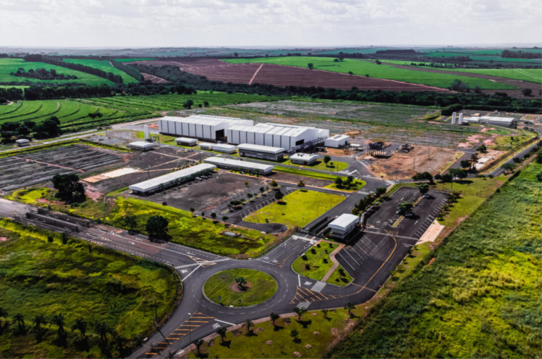 Um ano de conquistas