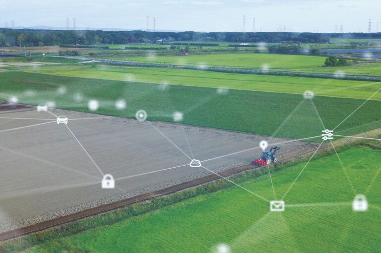 No rastro da sustentabilidade