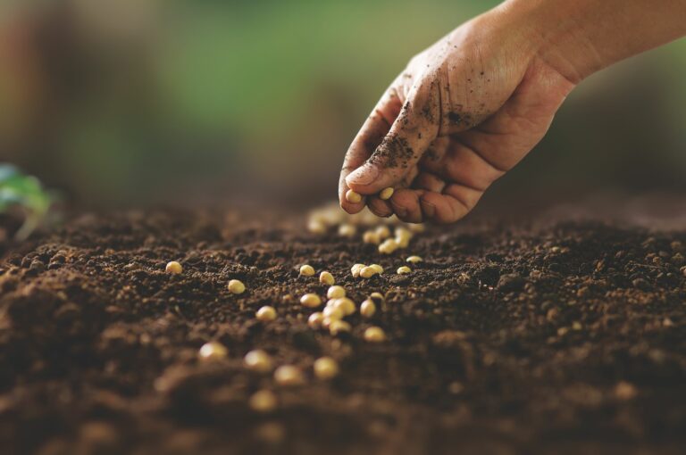 Como alimentar o mundo sem esgotar o planeta