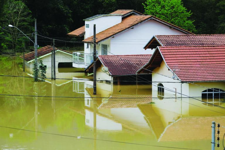 A vida depois da tragédia
