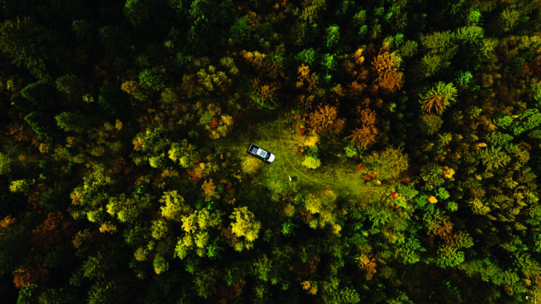 Solo fértil para as picapes