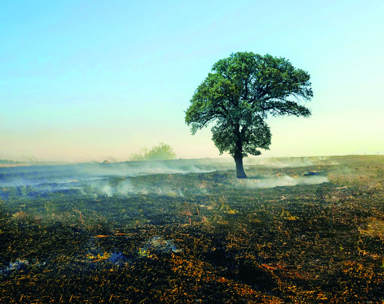 “O agronegócio precisa adotar uma cultura de gerenciamento de riscos mais amplo”, alerta especialista
